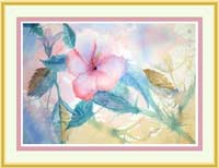 Watercolor prints floral